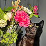 cat, black_cat, flower, bouquet, pink_flower, white_flower, green_leaves, indoor, sunlight, yellow_eyes, curious, pet, animal, plant, vase, closeup, nature, domestic_cat, shadow, bright