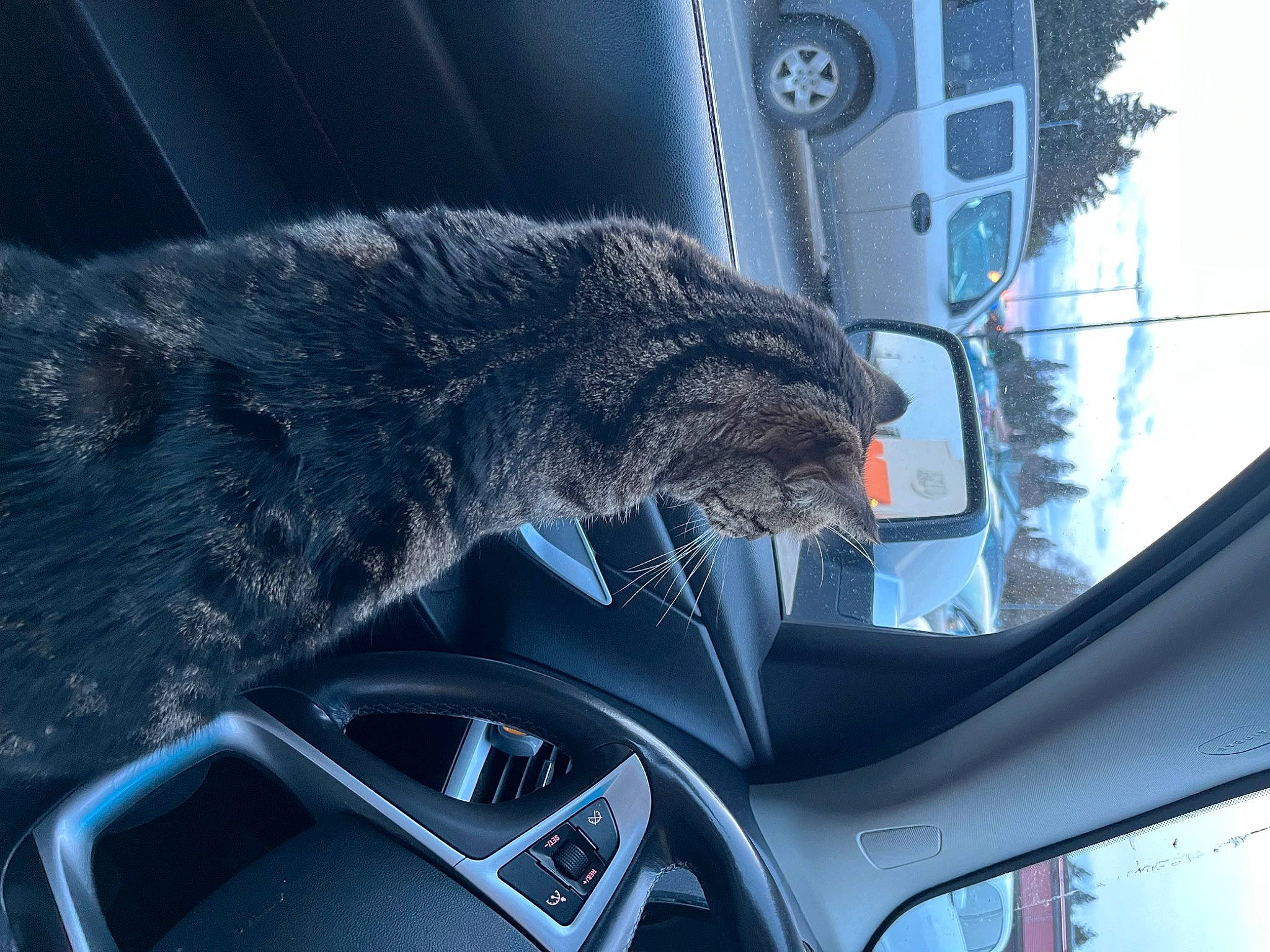 Yeti joined the competition — help win amazing prizes! auto_part, automotive_design, automotive_exterior, automotive_lighting, automotive_mirror, automotive_parking_light, automotive_tire, car, grey, hood, motor_vehicle, personal_luxury_car, steering_wheel, tire, tree, vehicle, vehicle_door, wheel, window, windscreen_wiper