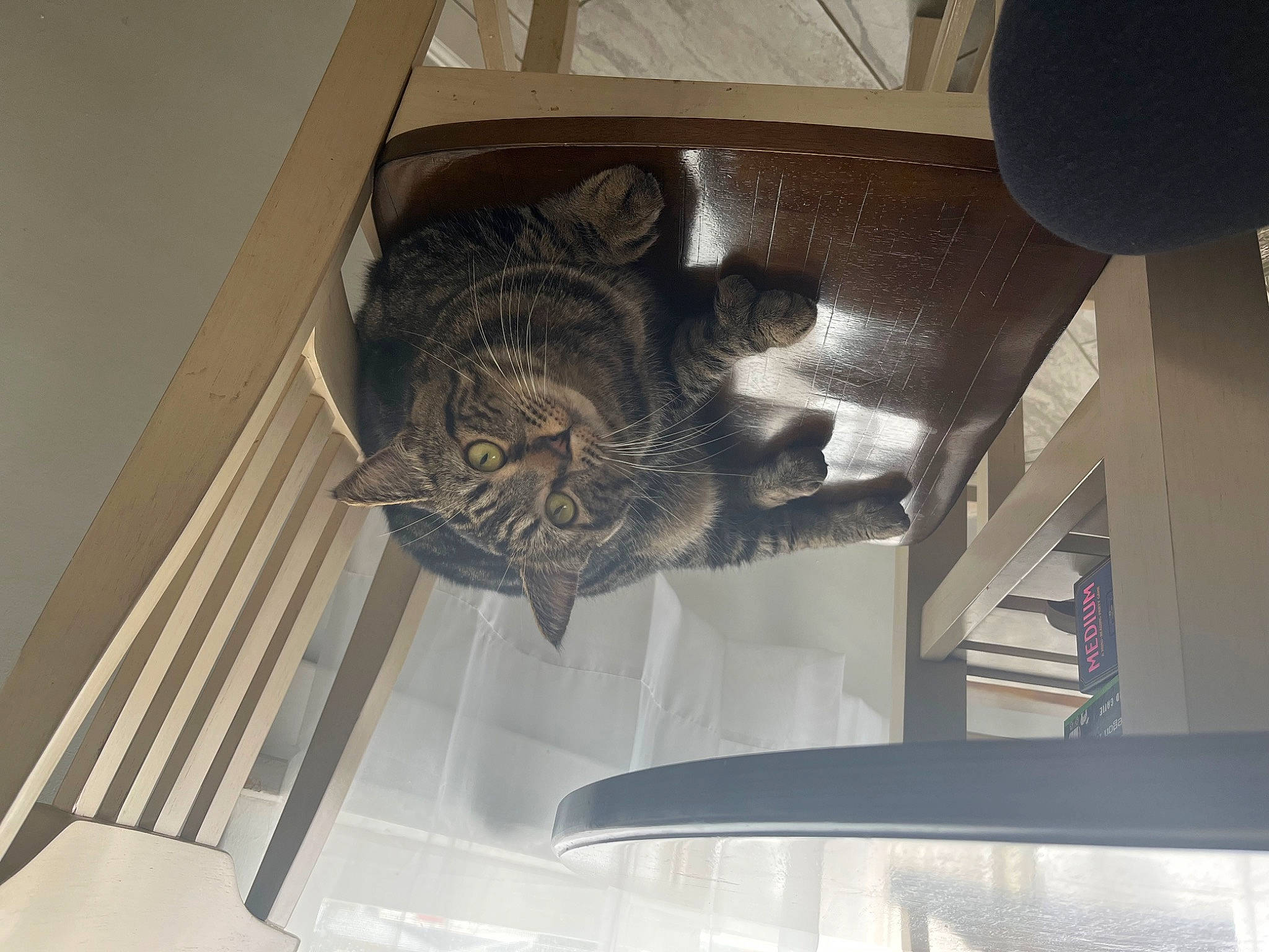 Yeti joined the competition — help win amazing prizes! art, building, carving, ceiling, circle, daylighting, door, font, metal, molding, pattern, plaster, room, sculpture, statue, symmetry, tints_and_shades, visual_arts, wing, wood