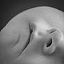 Aëdan participe au concours pour gagner de l'argent avec cette photo : baby, black_and_white, cheek, child, close_up, face, infant, macro, monochrome, newborn, nose, peaceful, portrait, quiet, resting, skin, sleeping, soft_light, texture, young