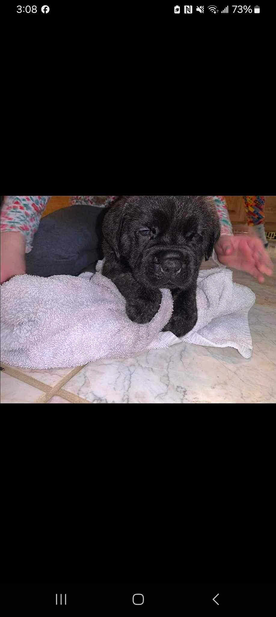 Charlie