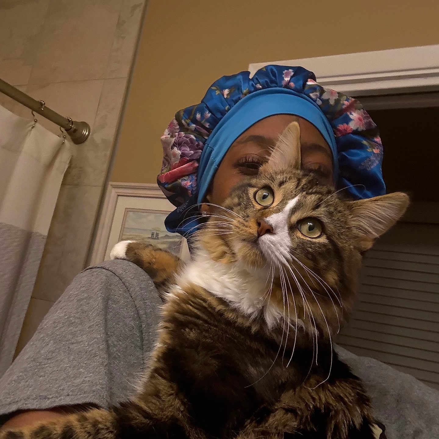 Gatsby joined the competition — help win amazing prizes! bathroom, bonnet, cat, close_up, cozy, curious, face, feline, fluffy, framed_picture, gray_shirt, holding, indoor, person, pet, portrait, shower_curtain, tabby_cat, wall, white_paws