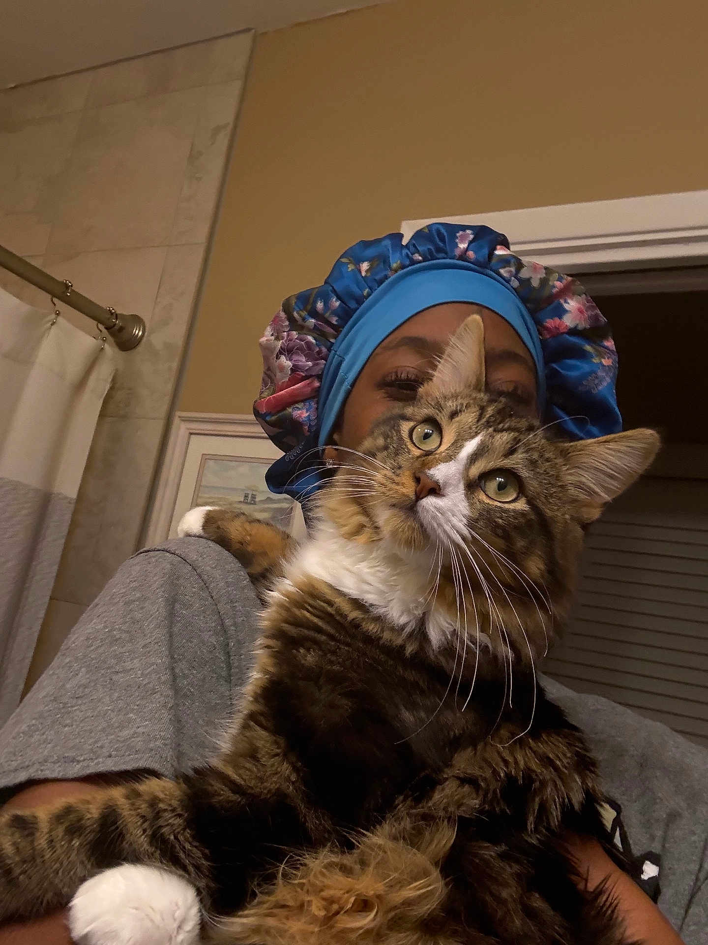 Gatsby joined the competition — help win amazing prizes! cat, person, indoor, bathroom, bonnet, tabby_cat, white_paws, curious, holding, gray_shirt, shower_curtain, framed_picture, wall, face, close_up, pet, feline, fluffy, portrait, cozy