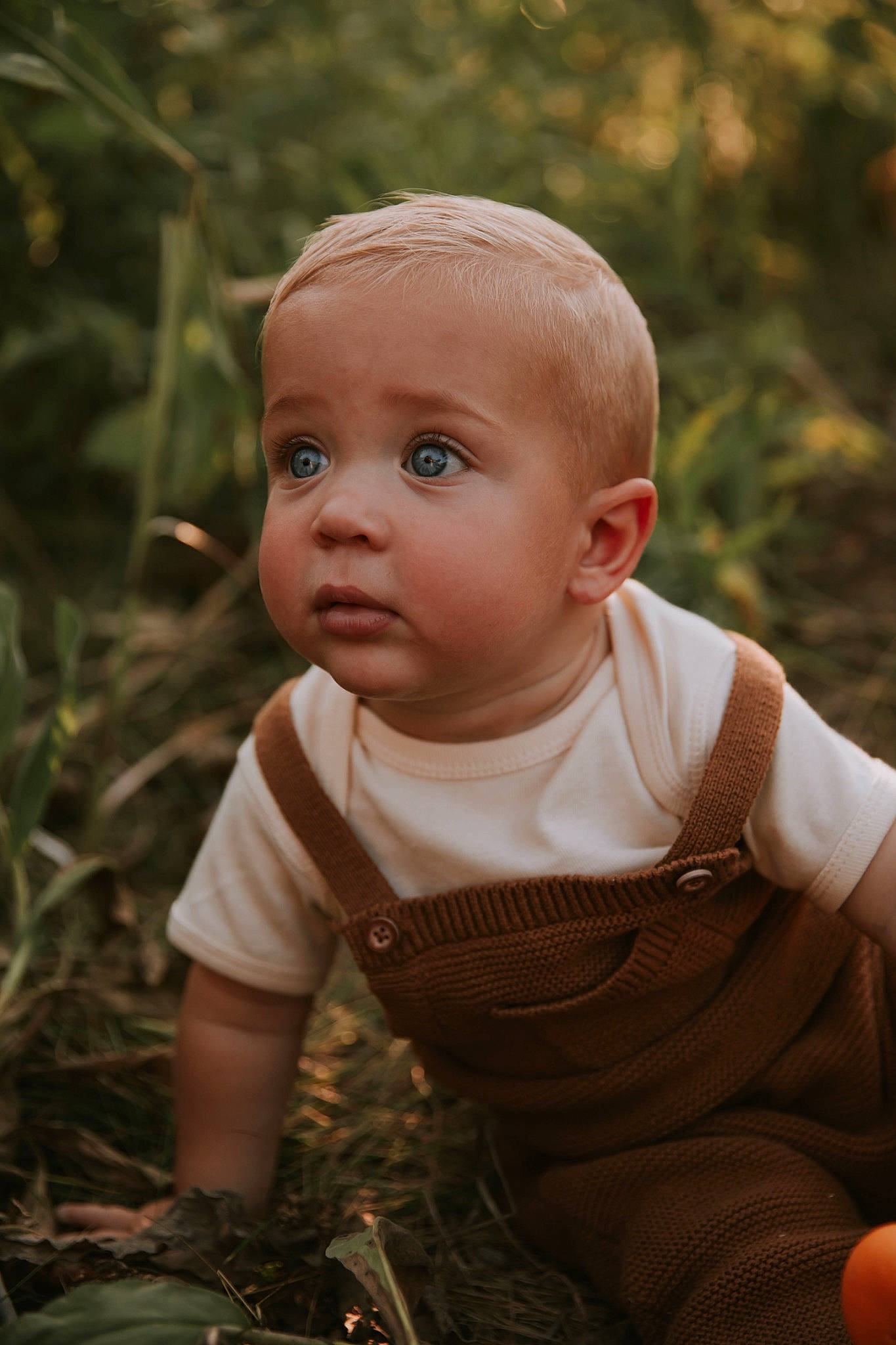 Kase joined the competition — help win amazing prizes! baby, baby_toddler_clothing, blond, cheek, child, dress, eye, flash_photography, grass, happy, iris, lip, nose, people_in_nature, person, plant, sitting, skin, toddler, tree