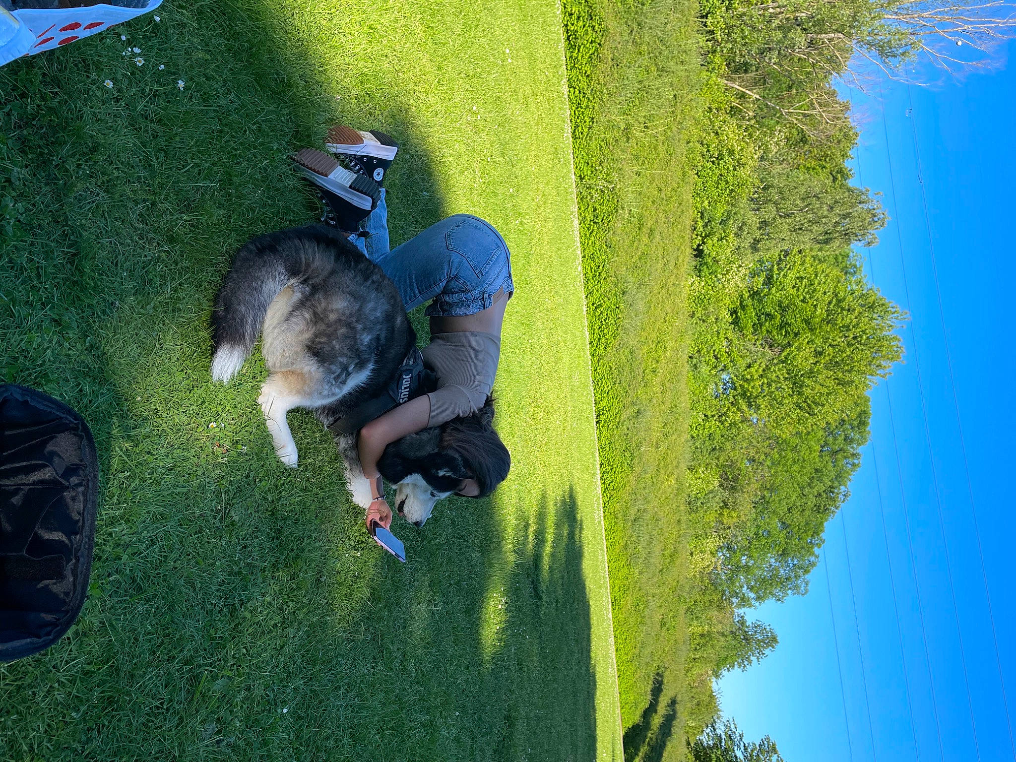 Gipsy King participe au concours pour gagner de l'argent avec cette photo : azure, blue, electric_blue, fun, grass, grass_family, grassland, landscape, lawn, leaf, leisure, natural_environment, nature, organism, people_in_nature, plant, recreation, sky, sunlight, tree