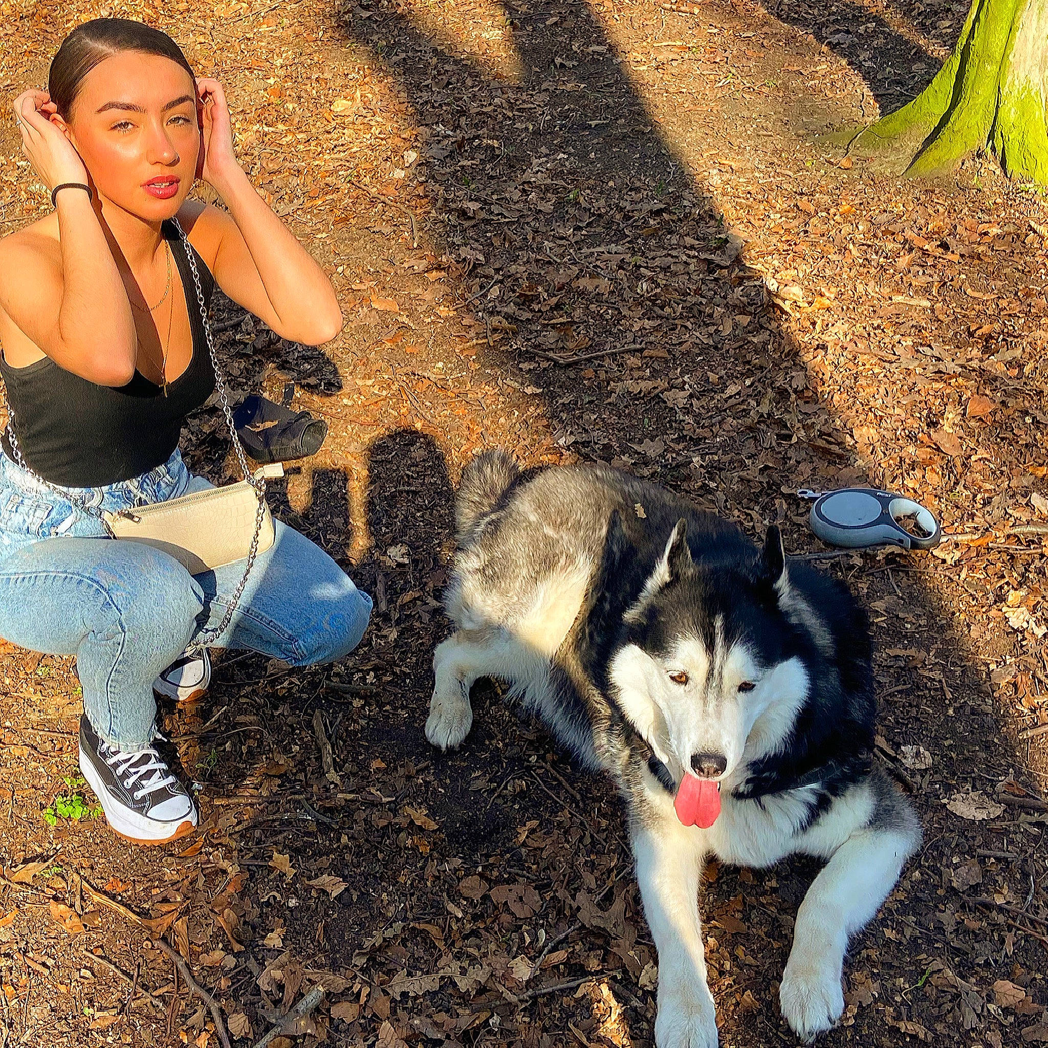 Gipsy King participe au concours pour gagner de l'argent avec cette photo : automotive_tire, boot, carnivore, companion_dog, dog, dog_breed, felidae, fun, grass, green, happy, human_leg, knee, leg, mammal, people_in_nature, sneakers, sunlight, thigh, vertebrate