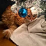 cat, orange_cat, christmas_tree, ornament, blue_ornament, snowy_branch, holiday_decor, feline, curious, fluffy, wood_surface, white_cloth, indoor, festive, closeup, pet, animal, holiday, decorations, cozy