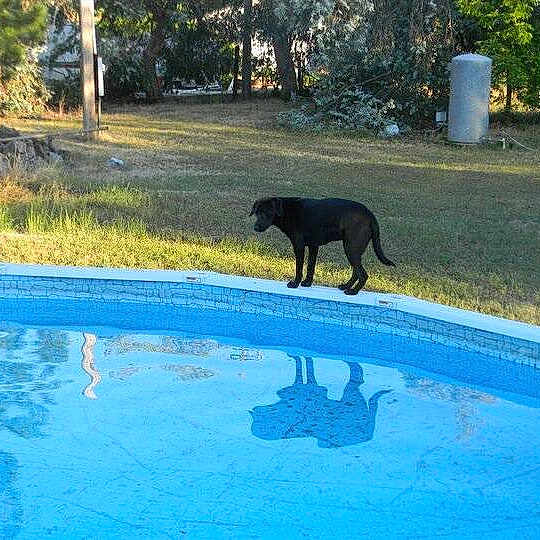 Sally is registered to the contest to win money with this photo:
