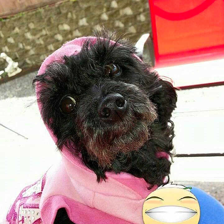 Saydegirl