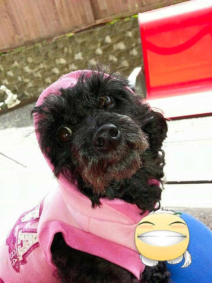 Saydegirl