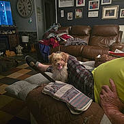 Dusty is registered to the contest to win money with this photo: blanket, carpet, cat, clock, couch, cozy, dog, furniture, gloves, home_decor, indoor, living_room, person, pet, picture_frames, plaid_pants, relaxing, smiling_dog, television, yellow_shirt