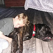 Tank joined the competition — help win amazing prizes! boy, child, dog, sleeping, resting, floor, wooden_floor, red_collar, indoor, furniture, bed, blanket, relaxed, pet, companion, casual_clothing, home, young, peaceful, napping