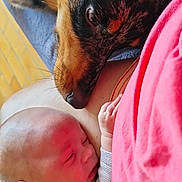 Tao a rejoint le concours — aidez-le/la à gagner de superbes lots ! animal, baby, bond, closeup, clothing, companionship, cuddle, curious, dog, expression, face, indoors, infant, interaction, love, person, pet, skin, soft_light, tender