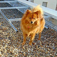 Rox a rejoint le concours — aidez-le/la à gagner de superbes lots !