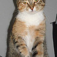 Lolita a rejoint le concours — aidez-le/la à gagner de superbes lots !