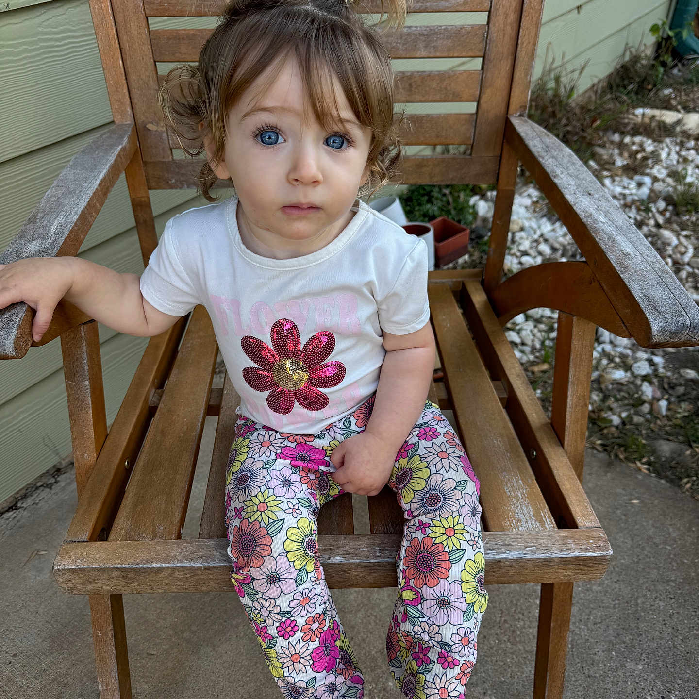Calli is registered to the contest to win money with this photo: blue_eyes, casual_clothing, child, concrete, curious, daylight, floral_pants, flower_print, green_wall, hair_clips, outdoor, person, pigtails, plants, rocks, seated, socks, toddler, white_shirt, wooden_chair