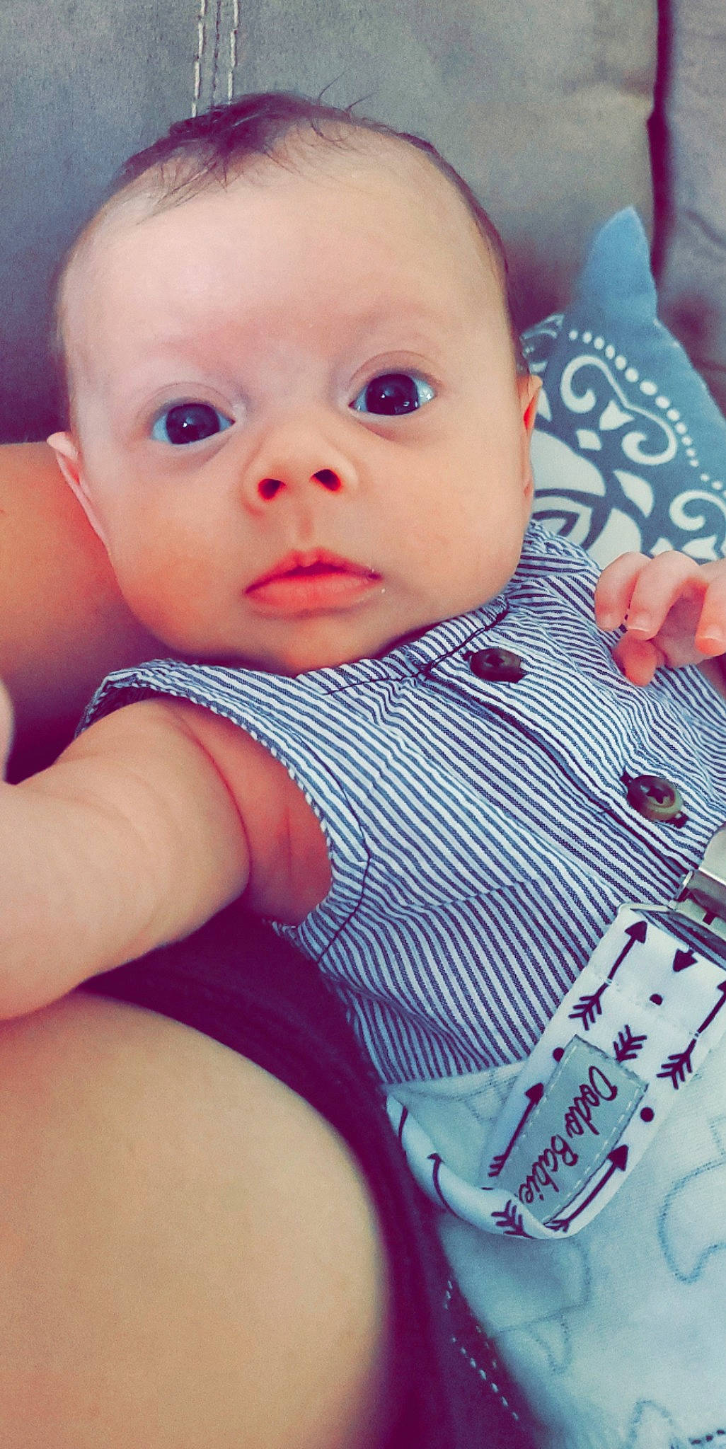 Loki joined the competition — help win amazing prizes! arm, azure, baby, baby_toddler_clothing, cheek, cool, eyelash, finger, happy, iris, lip, mouth, neck, nose, organ, person, pink, skin, sleeve, textile