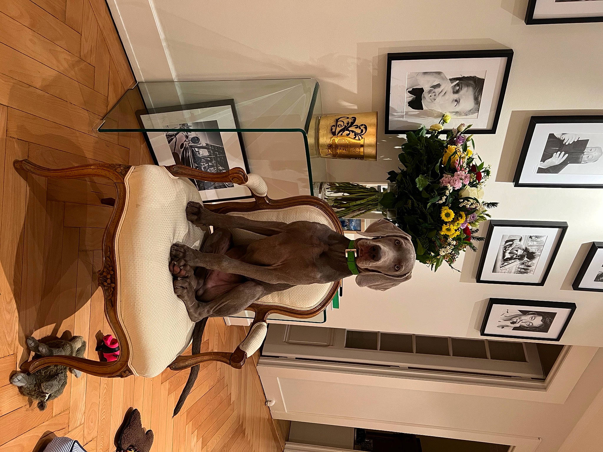 Triumph participe au concours pour gagner de l'argent avec cette photo : art, automotive_design, building, ceiling, chair, event, flooring, flower, hardwood, house, houseplant, illustration, interior_design, picture_frame, plant, room, sculpture, visual_arts, wall, wood