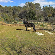 Neo a rejoint le concours — aidez-le/la à gagner de superbes lots !