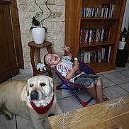 Hilton participe au concours pour gagner de l'argent avec cette photo : toddler, dog, banana, chair, tile_floor, bookshelf, book, plant, pottery, wooden_furniture, indoor, smiling, peace_sign, red_bandana, yellow_dog, casual_clothing, home, child, happy, living_room