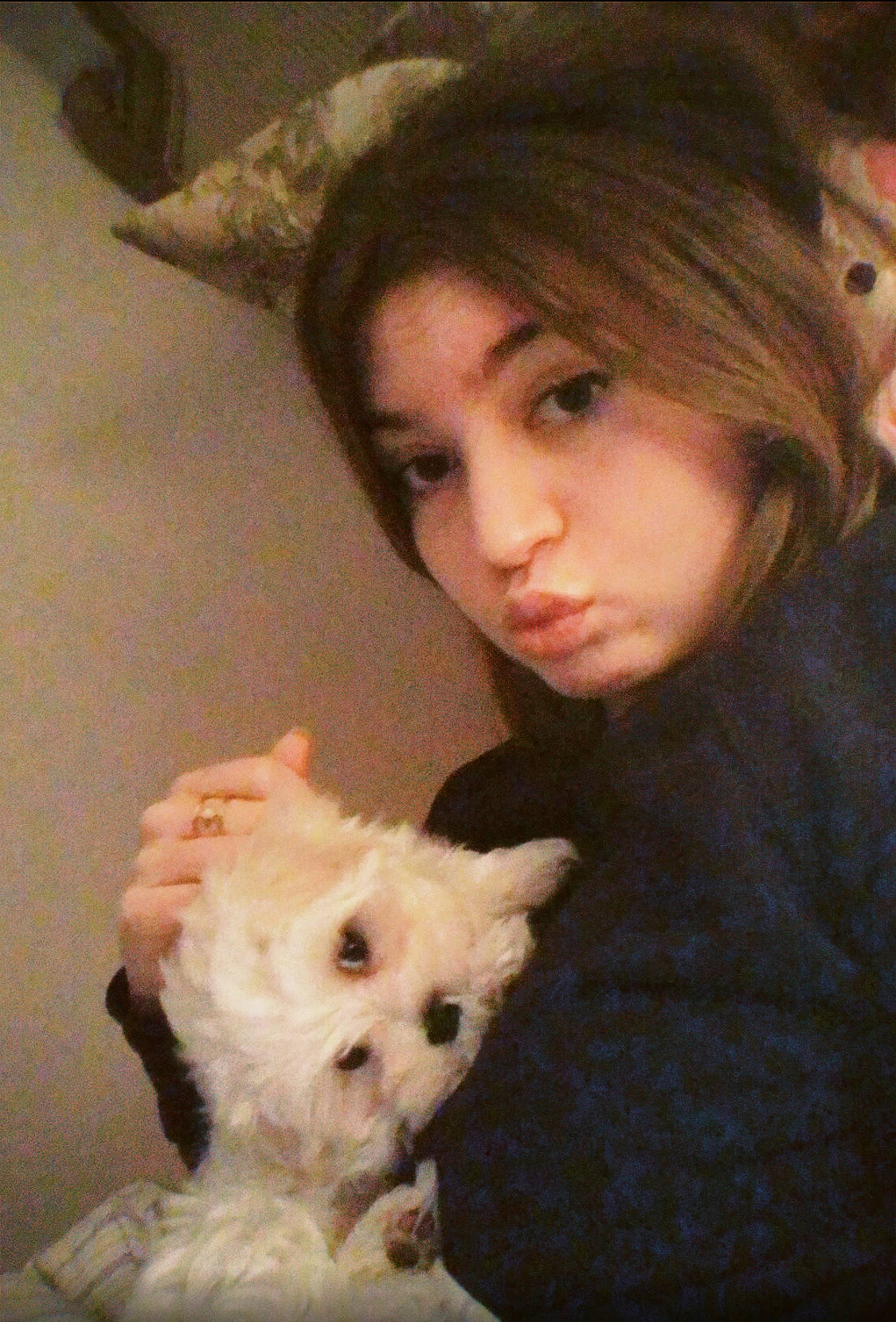 Elton participe au concours pour gagner de l'argent avec cette photo : bangs, black_hair, brown_hair, carnivore, companion_dog, dog, dog_breed, eyebrow, eyelash, hairstyle, long_hair, mammal, selfie, small_terrier, snout, sweater, terrier, toy_dog, vertebrate, west_highland_white_terrier