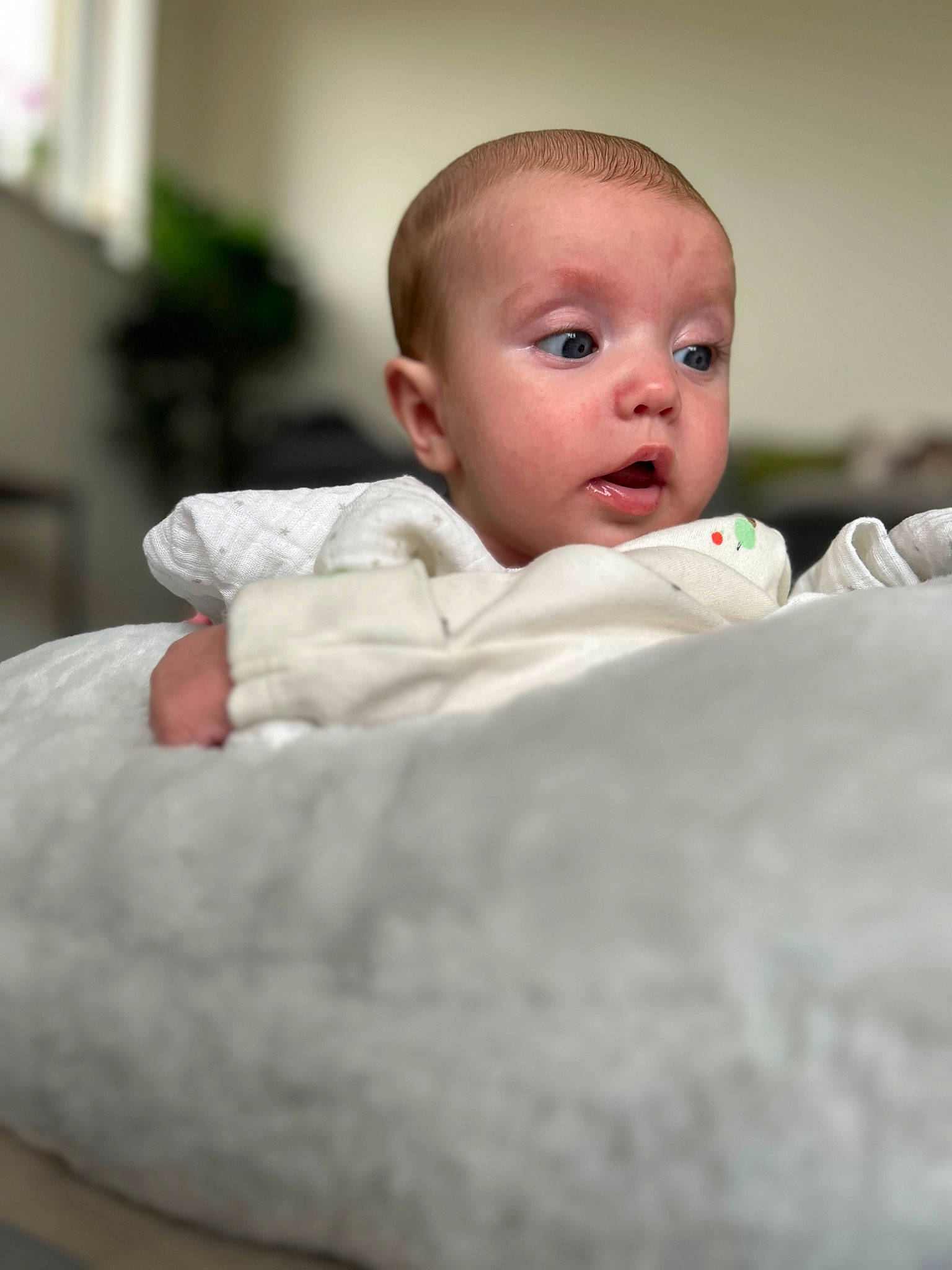 Elijah joined the competition — help win amazing prizes! baby, baby_toddler_clothing, cheek, chin, comfort, eye, flash_photography, flooring, fur, happy, iris, linens, lip, no_expression, nose, person, portrait_photography, room, sitting, sleeve