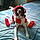 Prisca