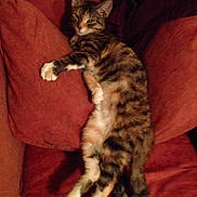 Paige is registered to the contest to win money with this photo: