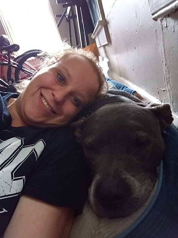 Chaos is registered to the contest to win money with this photo: carnivore, chest, comfort, companion_dog, dog, dog_breed, fawn, fun, fur, gesture, guard_dog, happy, selfie, sitting, smile, snout, sporting_group, t_shirt, whiskers, working_animal