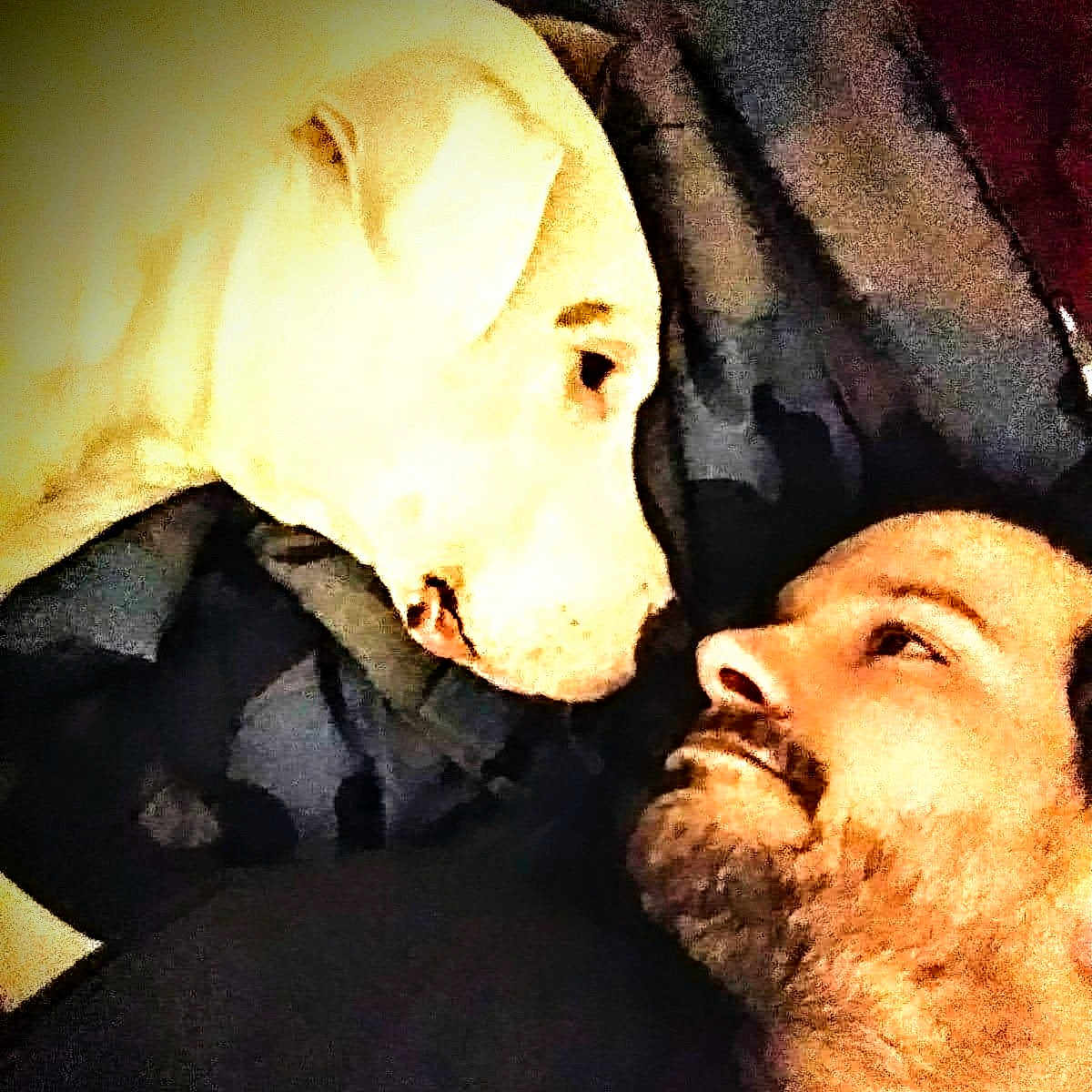 Jazzy is registered to the contest to win money with this photo: beard, carnivore, companion_dog, dog, dog_breed, eyebrow, facial_hair, fawn, flash_photography, fur, gesture, happy, jaw, moustache, nose, selfie, smile, sporting_group, whiskers, working_animal