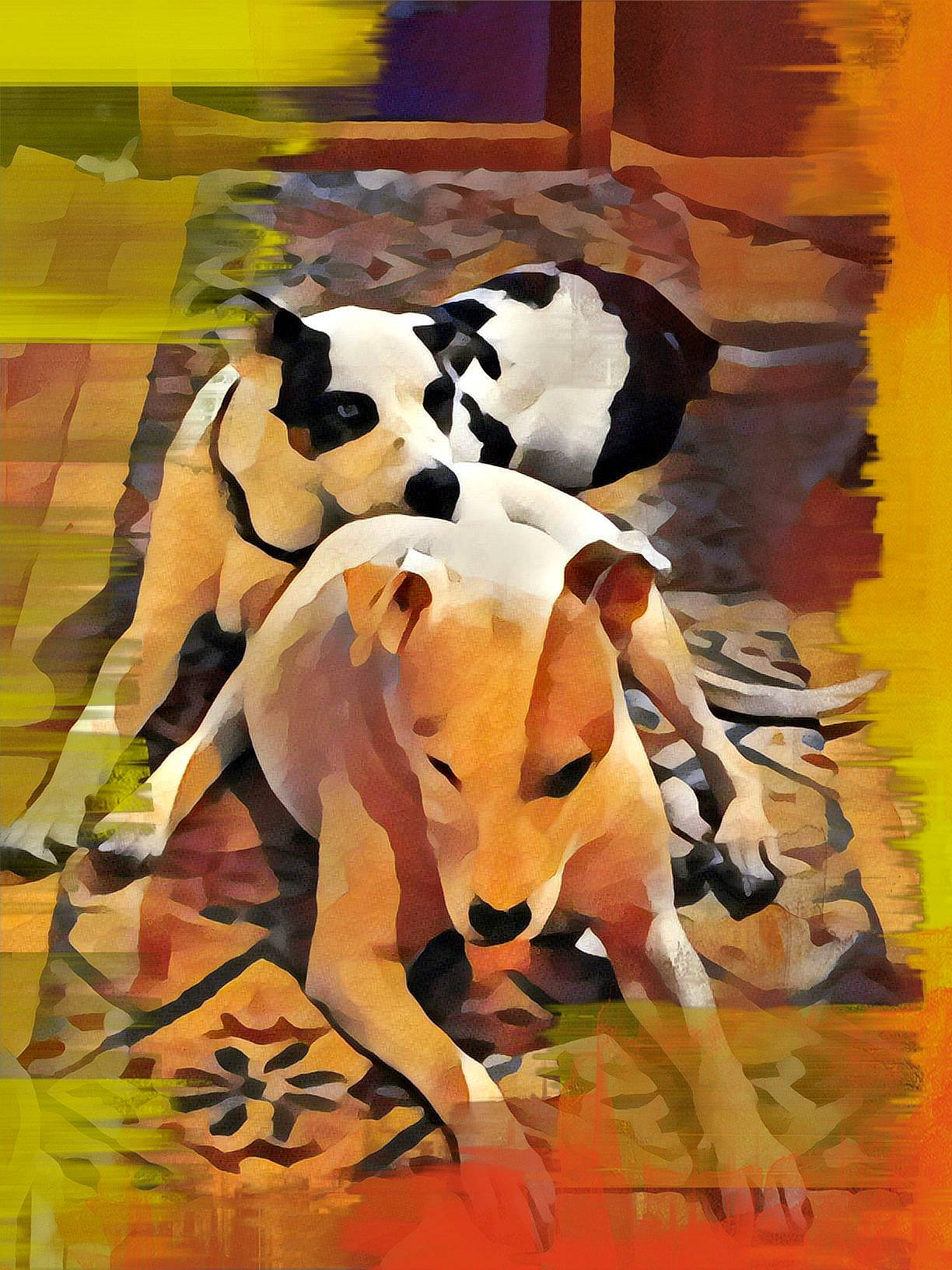 Jazzy is registered to the contest to win money with this photo: art, canidae, carnivore, companion_dog, dairy_cow, dog, dog_breed, fawn, flooring, human_leg, illustration, paint, painting, snout, sporting_group, tail, terrestrial_animal, visual_arts, wood, working_animal