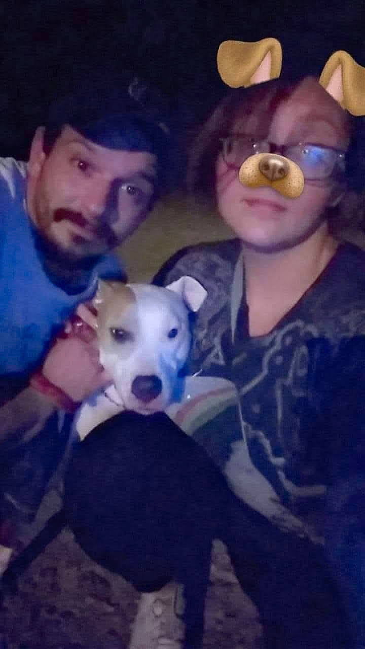 Jazzy joined the competition — help win amazing prizes! baseball_cap, beard, cap, carnivore, child, companion_dog, cool, dog, dog_breed, eyewear, fawn, fun, hat, midnight, night, personal_protective_equipment, selfie, sporting_group, sunglasses, t_shirt