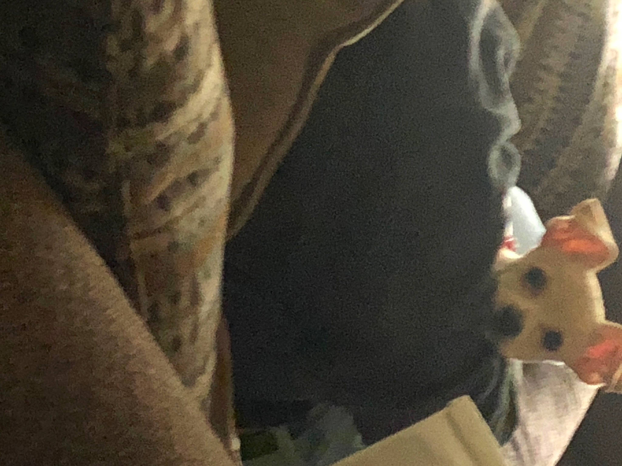 Simba is registered to the contest to win money with this photo: canidae, carmine, carnivore, comfort, companion_dog, dog_breed, felidae, foot, fur, human_leg, linens, plush, small_to_medium_sized_cats, snout, stuffed_toy, tail, teddy_bear, toy, whiskers, wood