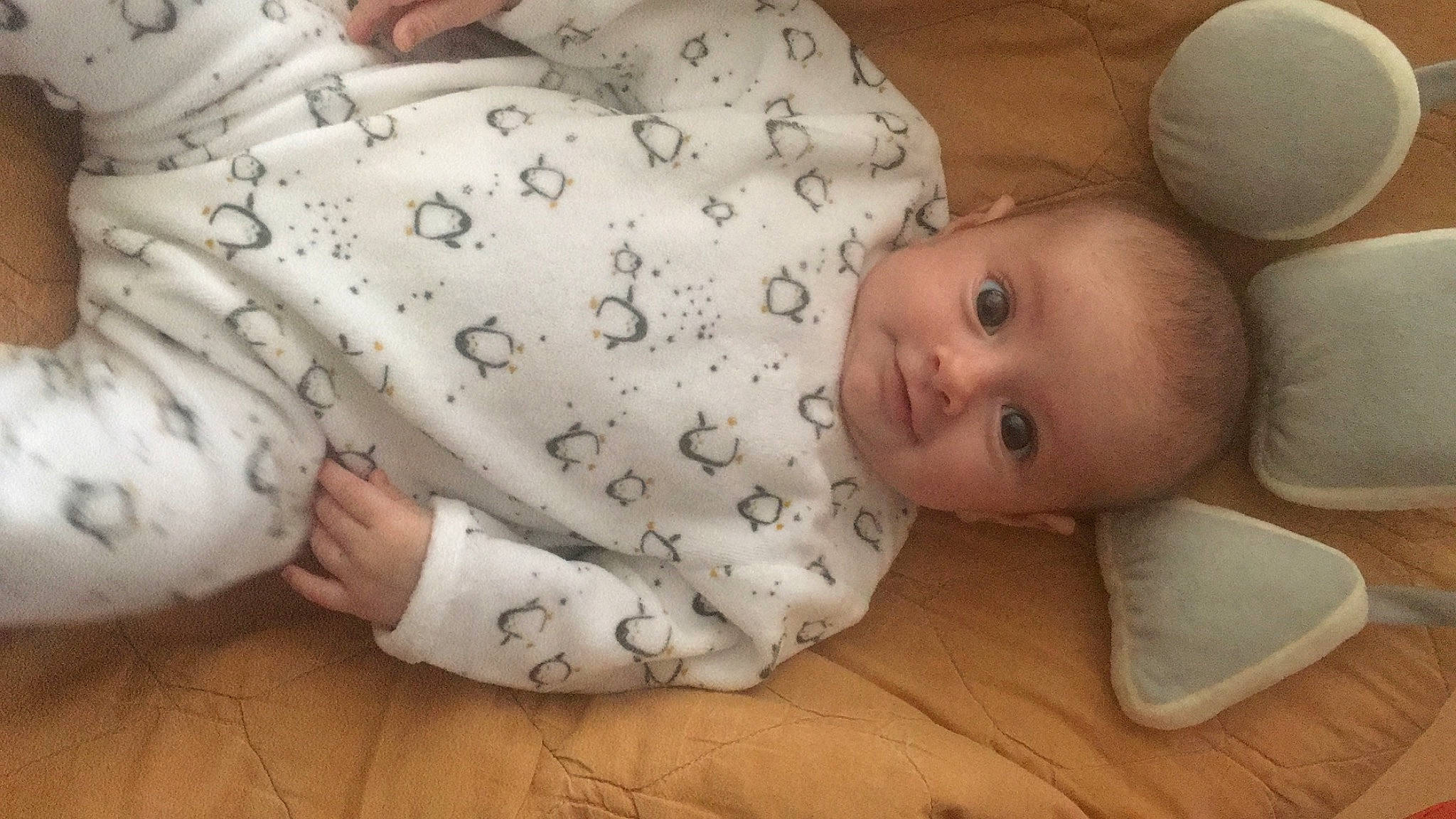 Kaylia participe au concours pour gagner de l'argent avec cette photo : baby, baby_products, baby_toddler_clothing, cheek, child, comfort, face, finger, flooring, hand, head, human_body, linens, mouth, nose, person, room, skin, sleeve, toddler