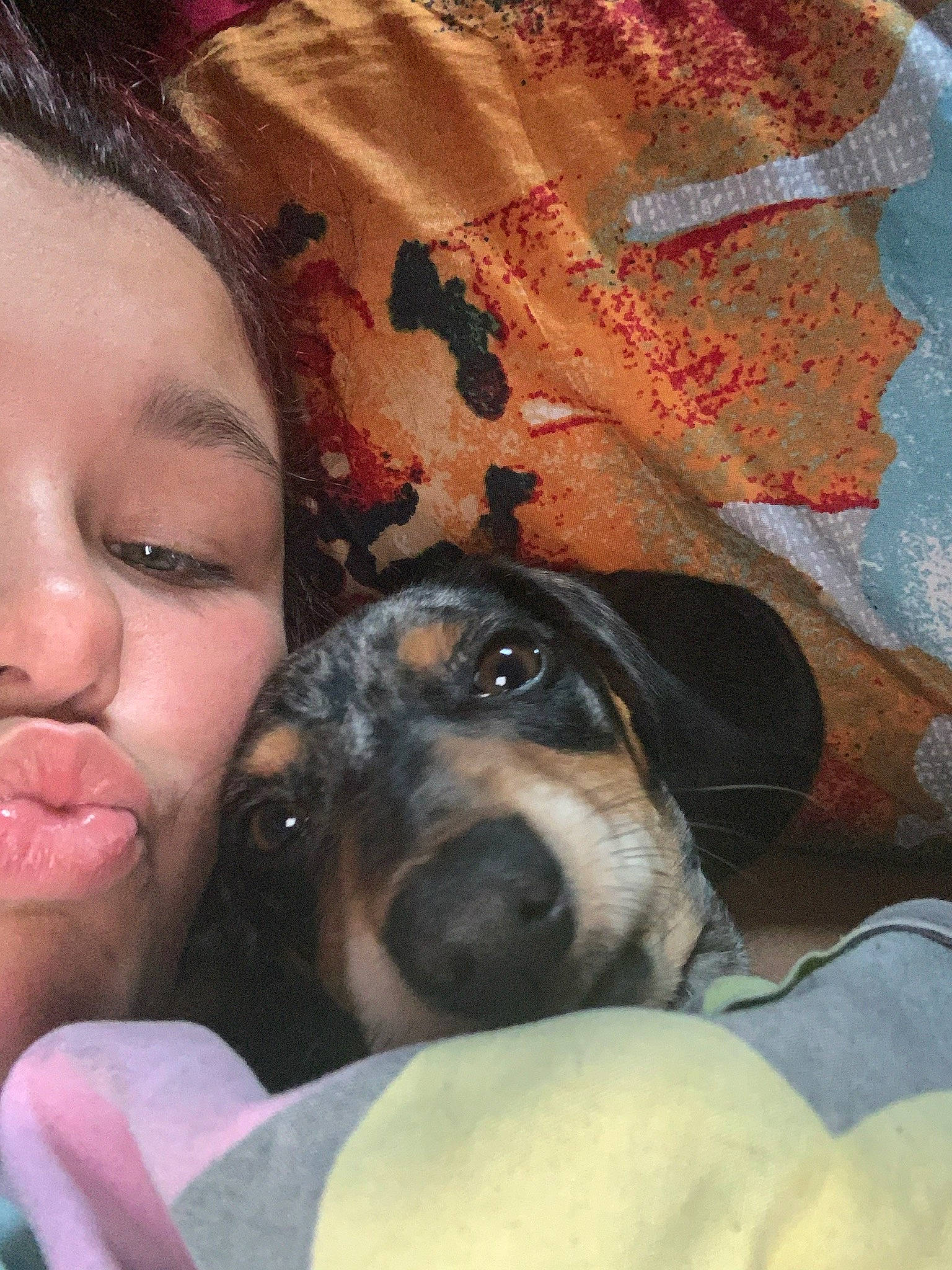 Pluto is registered to the contest to win money with this photo: canidae, carnivore, comfort, companion_dog, couch, dog, dog_breed, ear, fawn, fur, happy, linens, nap, nose, paw, puppy_love, selfie, snout, sporting_group, working_animal