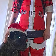 Shaddow is registered to the contest to win money with this photo: man, dog, santa_hat, apron, plaid_pajamas, indoor, holiday, christmas, pet, beard, tattoo, black_dog, smile, standing, doorway, costume, festive, face, animal, human