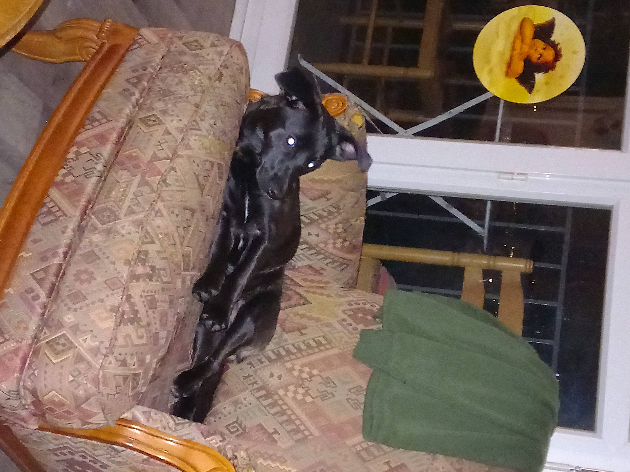 Cooky a rejoint le concours — aidez-le/la à gagner de superbes lots ! art, bag, baggage, comfort, curtain, flooring, leather, linens, luggage_and_bags, pattern, room, visual_arts, wood