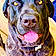 Khloe