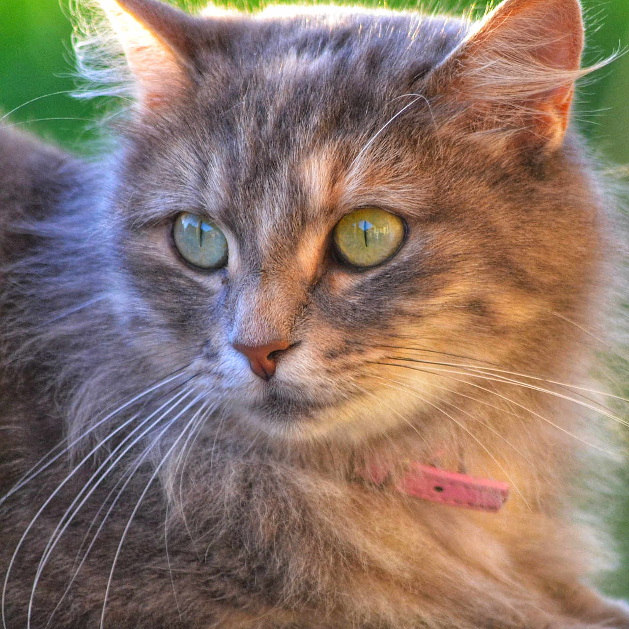 Louna
