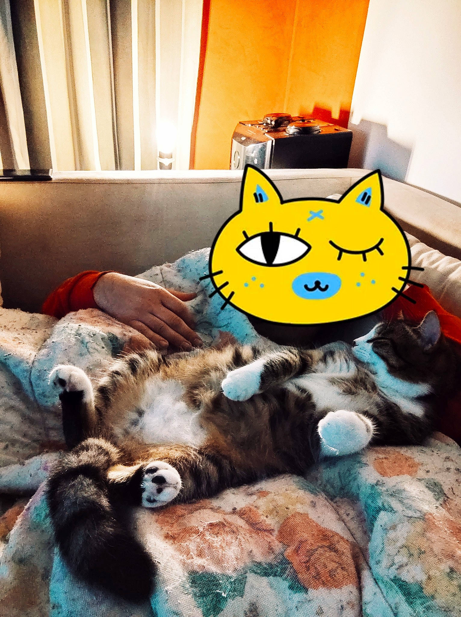 Chorizo a rejoint le concours — aidez-le/la à gagner de superbes lots ! bed, carnivore, cat, comfort, domestic_short_haired_cat, fawn, felidae, fur, linens, mammal, paw, room, small_to_medium_sized_cats, snapshot, stuffed_toy, tail, textile, toy, vertebrate, whiskers