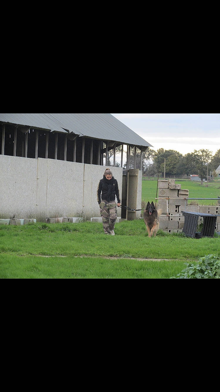 Bounty participe au concours pour gagner de l'argent avec cette photo : barn, building, farm, grass, house, land_lot, lawn, shed