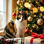 animal, calico_cat, cat, celebration, christmas_tree, cozy, cute, decorations, feline, festive, gift_box, holiday, home, indoor, lights, ornaments, pets, plaid_blanket, seasonal, window