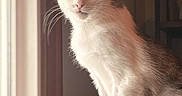 Bivens is registered to the contest to win money with this photo: