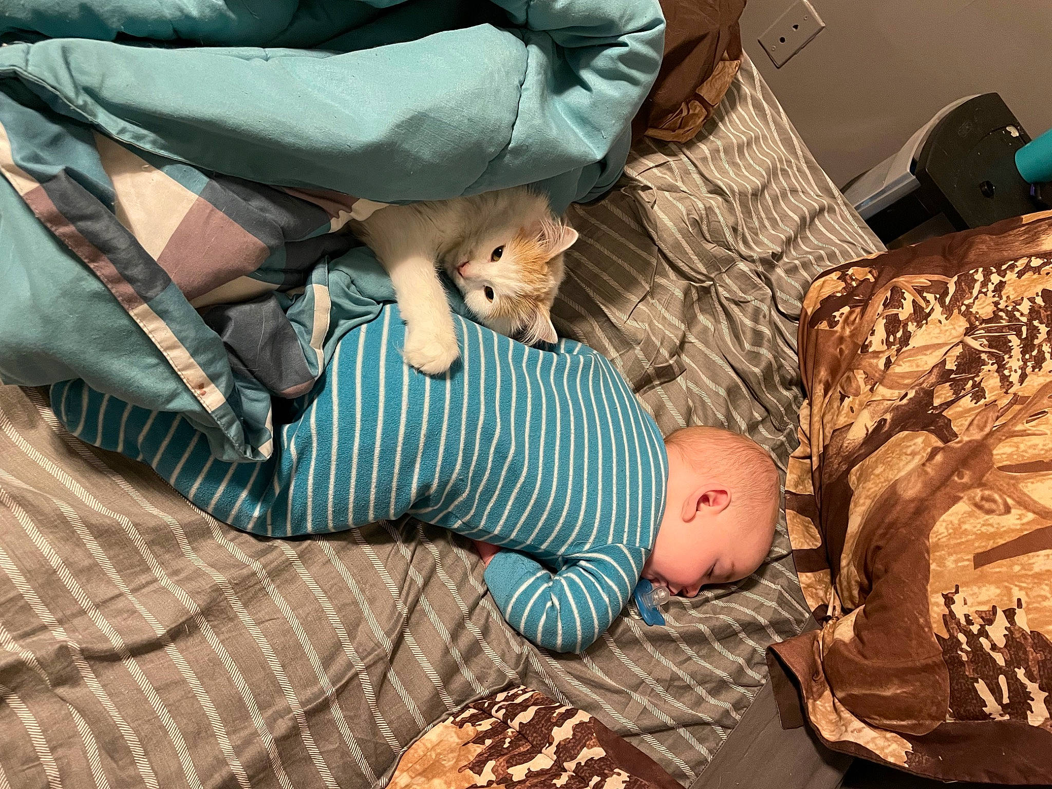 Leonidas is registered to the contest to win money with this photo: baby, child, comfort, dress, finger, hand, human_leg, joint, knee, lap, leg, linens, pattern, person, plaid, sitting, tartan, textile, thigh, toddler