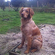 Denvers participe au concours pour gagner de l'argent avec cette photo :