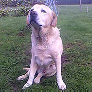 Tom participe au concours pour gagner de l'argent avec cette photo :