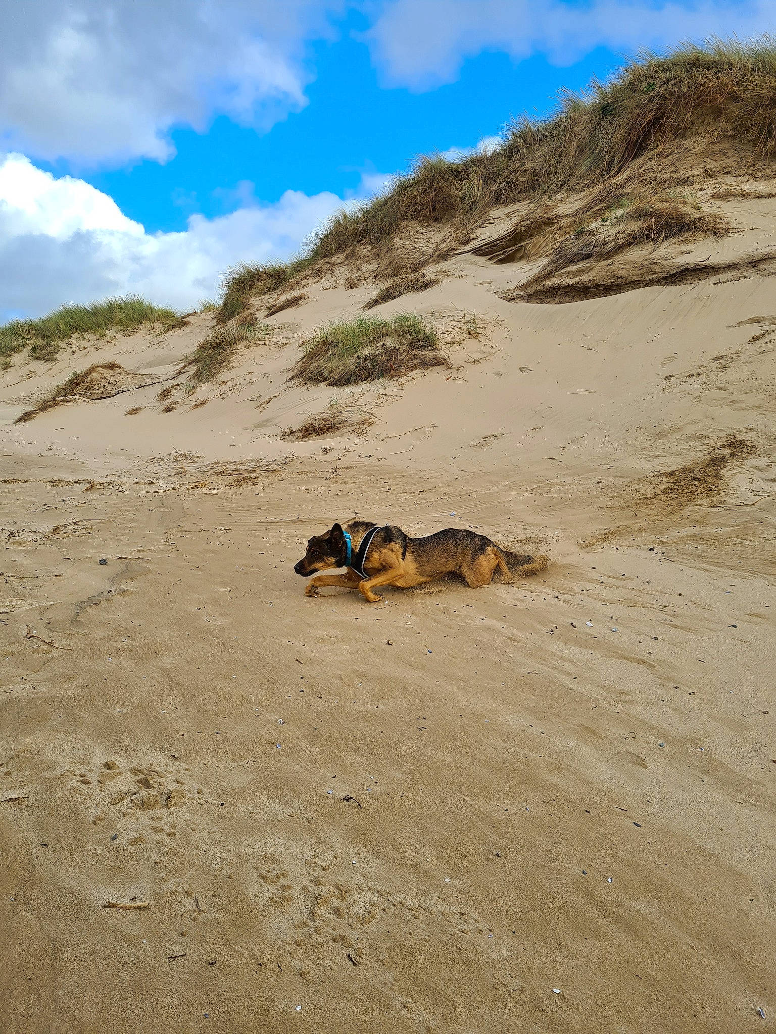 Nelson is registered to the contest to win money with this photo: aeolian_landform, beach, bedrock, blowout, coast, desert, ecoregion, erosion, fawn, geological_phenomenon, geology, hill, landscape, natural_environment, rock, sand, soil, vacation