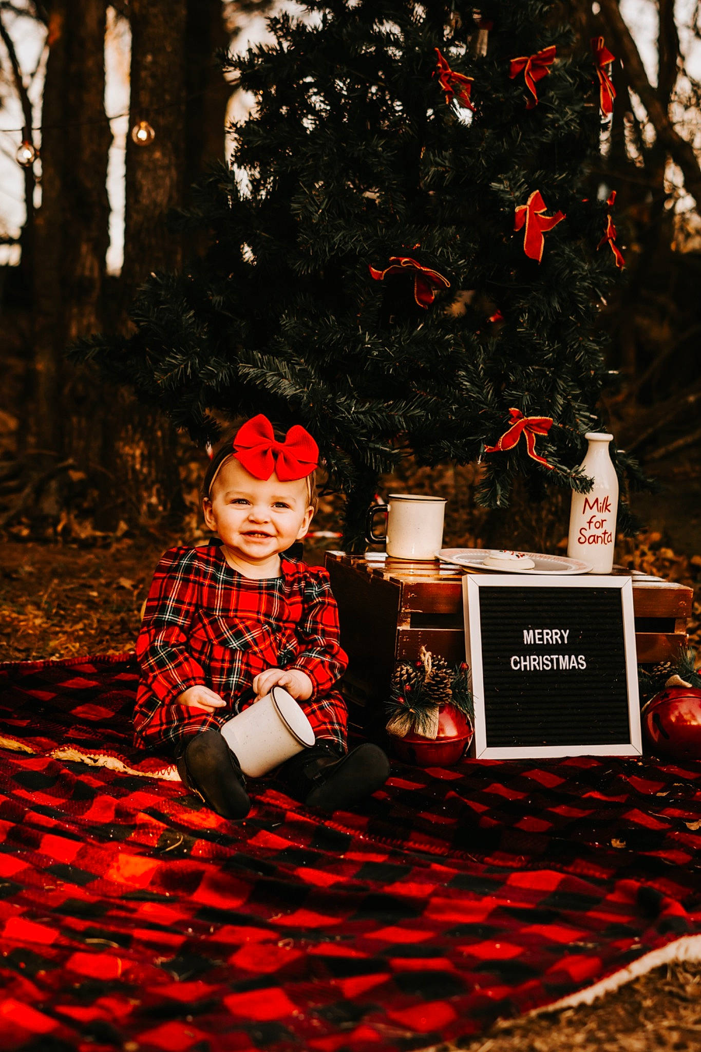 Teigan is registered to the contest to win money with this photo: carmine, christmas, christmas_eve, design, pattern, person, photography, red, tree