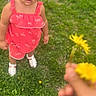 child, toddler, grass, flower, dandelion, hand, outdoor, greenery, curious, summer, casual_clothing, sandals, person, nature, young_child, portrait, daylight, playing, cute, expression