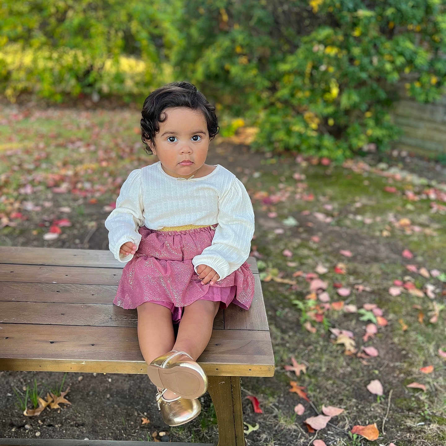 Valerie Alonzo joined the competition — help win amazing prizes! autumn, bench, casual_clothing, child, curly_hair, cute, fall, golden_shoes, grass, ground, leaves, nature, outdoor, person, pink_skirt, portrait, sitting, toddler, wood, young_child